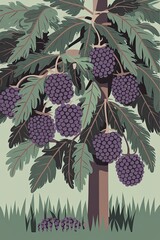 Illustration of Grape Vine with Purple Grapes