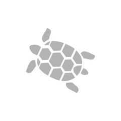 Obraz premium turtle icon on a white background, vector illustration