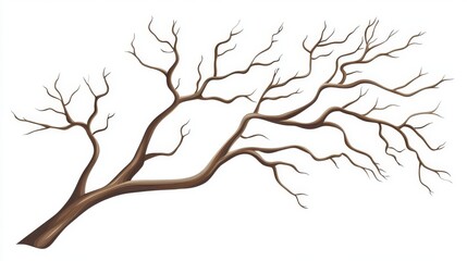 Fototapeta premium Bare tree branch, bough without leaves, fall branch. on white background, photo.