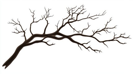 Fototapeta premium autumn bare branch without leaves isolated on white background, vector illustration