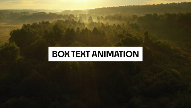 Box Text Animations