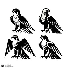 Obraz premium set of falcon graphic design vector clip art black and white silhouette templates