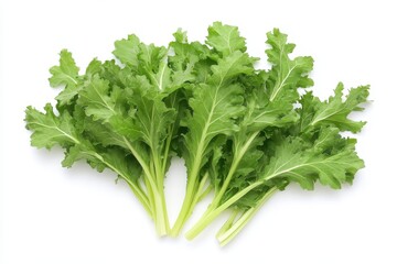 Fresh green leafy vegetables arranged together on a white background.