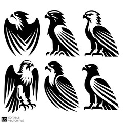 Obraz premium set of falcon graphic design vector clip art black and white silhouette templates
