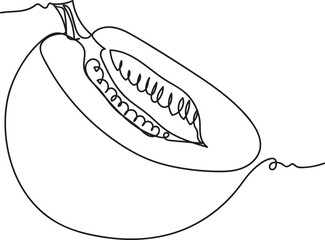 Melon Fruit One Line Art, Melon Fruit Black and White Vector