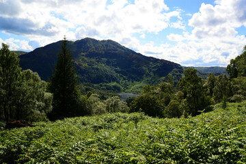 Obraz premium Looking across at Ben Venue, from the bottom of Ben A'an, in The Trossachs area of Scotland