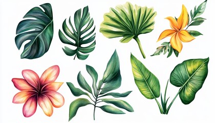 Fototapeta premium Botanical Beauty Sticker Set Featuring Delicate Floral Illustrations