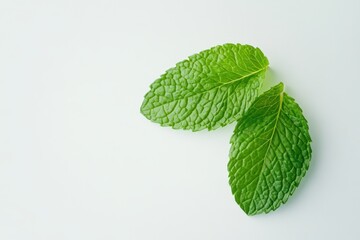 Two fresh green mint leaves on a light background.
