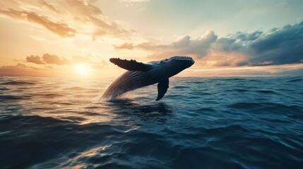 Fototapeta premium A whale breaching the ocean surface at sunset, showcasing nature's beauty and majesty.