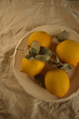 Lemons on the plate