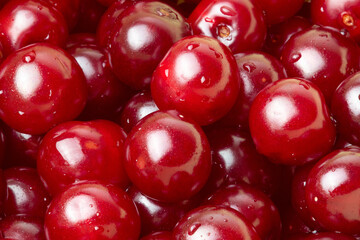 Red cherry berries, close-up. Berry background. Freshness.