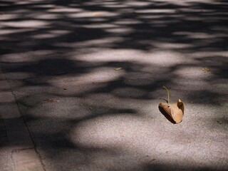 Light and shadows on the floor