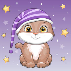 Fototapeta premium A cute cartoon cat in a nightcap. Night vector illustration with animal on a lilac background with stars.