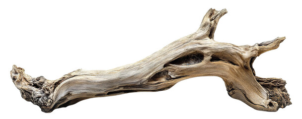 Fototapeta premium Driftwood branch with natural weathered texture, isolated on transparent cutout background