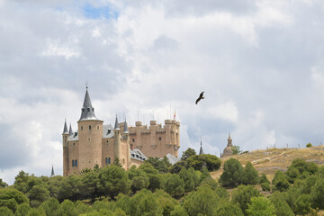 Iberian Eagle Hunting infront of the Alcazar of Segovia