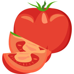 Slice Tomato Illustration