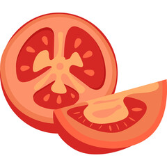 Slice Tomato Illustration