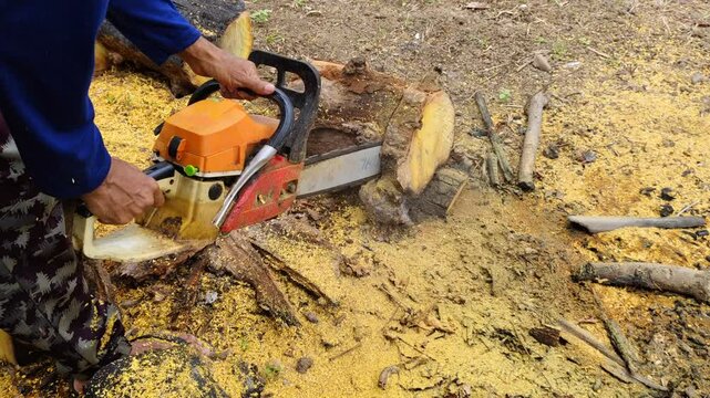 man cutting a tree with a chainsaw