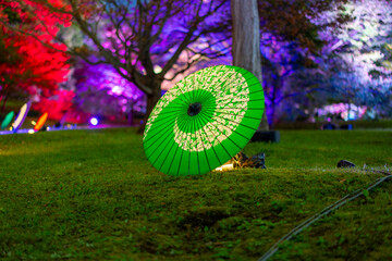 和傘と日本庭園