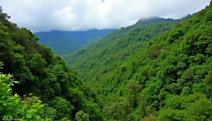 Obraz premium Vibrant Valley A Journey Through Natures Lush Embrace