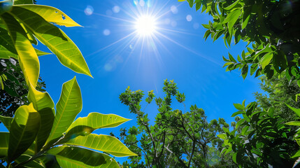 Obraz premium A tree with leaves and a sun shining through the leaves