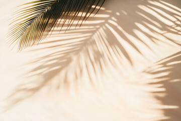 Obraz premium Shadows of Palm Leaves Dancing atop Pale Golden Sand