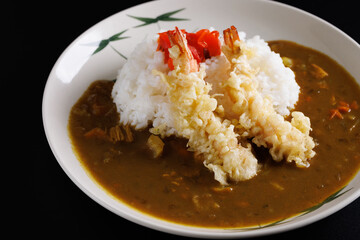 japanese tempura curry japanese food isolate in black background