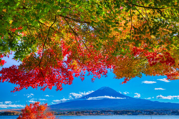 河口湖畔の紅葉と富士山