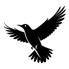 Flock of birds flying