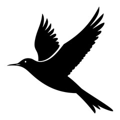 Flock of birds flying