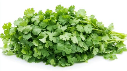 Obraz premium A fresh bunch of cilantro leaves, commonly used as a culinary herb in various dishes.