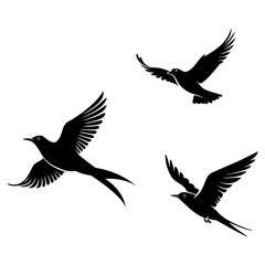 Flock of birds flying