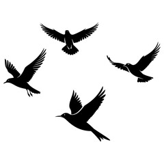 Flock of birds flying