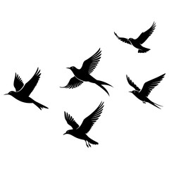 Flock of birds flying