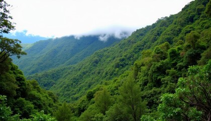 Enchanting valley where natures beauty unfolds