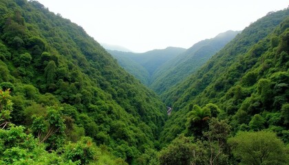 Majestic Valley  A Journey Through the Heart of Nature