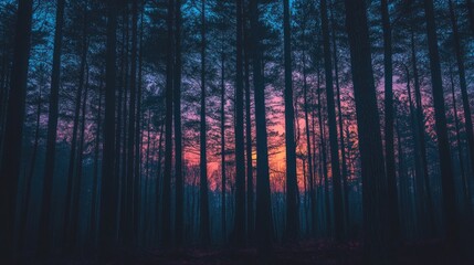 Obraz premium A forest at dusk, with the last light of the day fading away and the silhouettes of trees creating a stark contrast against the sky.