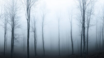 Obraz premium A panoramic view of a forest in fog, with tree trunks disappearing into the mist and an eerie silence pervading the scene.