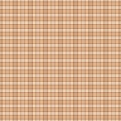 Earth tone Autumn and falls color design plaid pattern