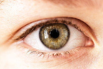 Close-Up of a Human Eye