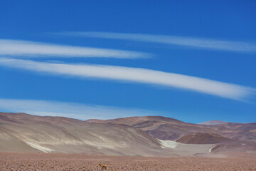 Northern Argentina