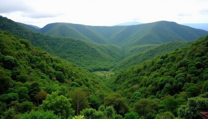 Obraz premium Vast verdant valley a testament to natures grandeur