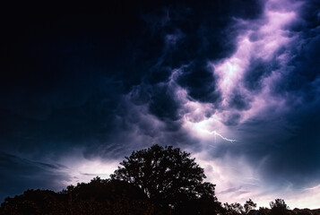 Obraz premium Un orage gigantesque dans le ciel avec un arbre en premier plan, prise de nuit en Corse