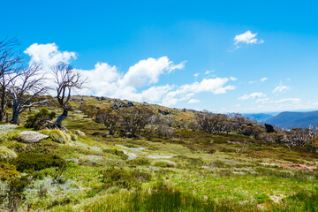 Thredo Views in Australia