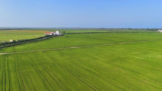 Vista aerea dei campi di riso nel parco dell'Albufera di Valencia, Spagna. 
Ettari di risaie sulla Costa Blanca poco fuori la citt&agrave;.