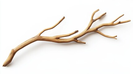 A natural wooden branch with multiple twigs, suitable for decoration or crafting.