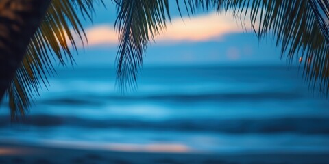 Fototapeta premium Beautiful defocused beach background framed by palm trees at twilght