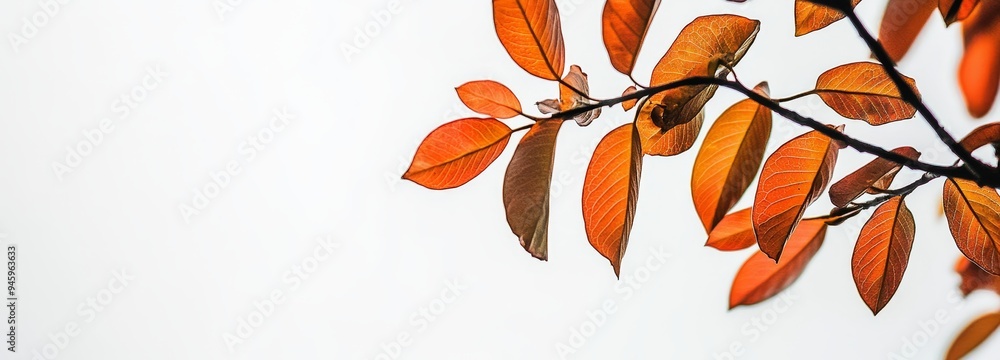 Poster the background is a blurred background with autumn leaves in the background and white space for text