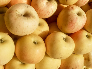 Red yellow apples heap full background 