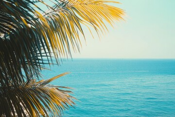 Fototapeta premium Summer Resort Beach Sea Relax Travel Vacation Palm Tropic Copy Space Banner Background Hotel , ai